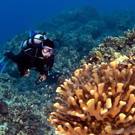 Kulakane 304 Kahana Dış mekan fotoğraf